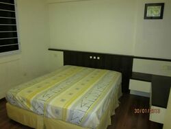 Blk 17 Dover Ville (Queenstown), HDB 4 Rooms #576768031